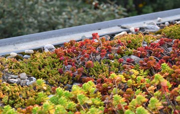 the cost of Stubwood green roof installation