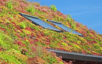 Stubwood living roof systems