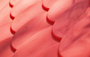 Stubwood plastic roof costs